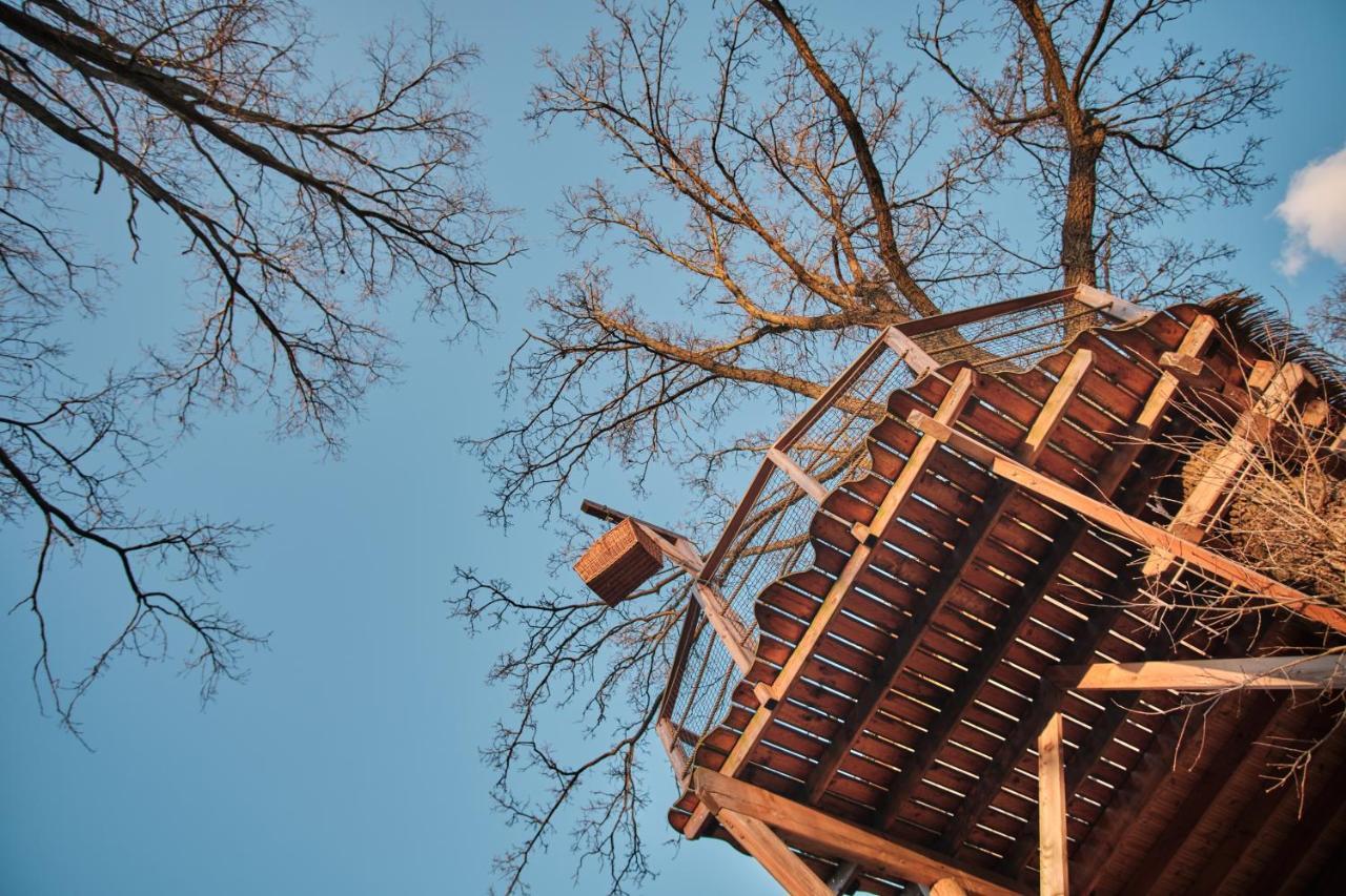 Treehouse Kremilek Villa Jesenice  Exterior foto